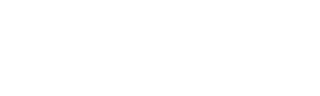 Entity Solutions LLC Logo